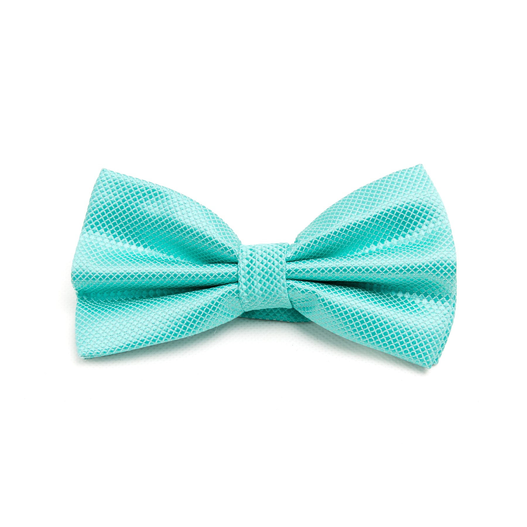 Lupo Bianco Aqua Textured Bow Tie